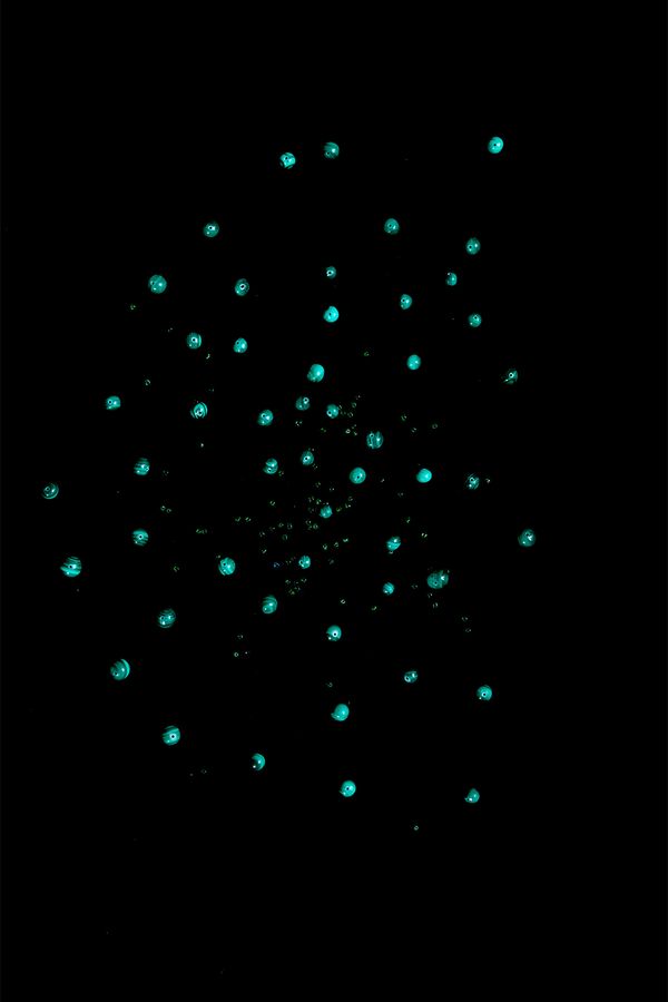 The Hidden Treasure of an Everlasting Bond