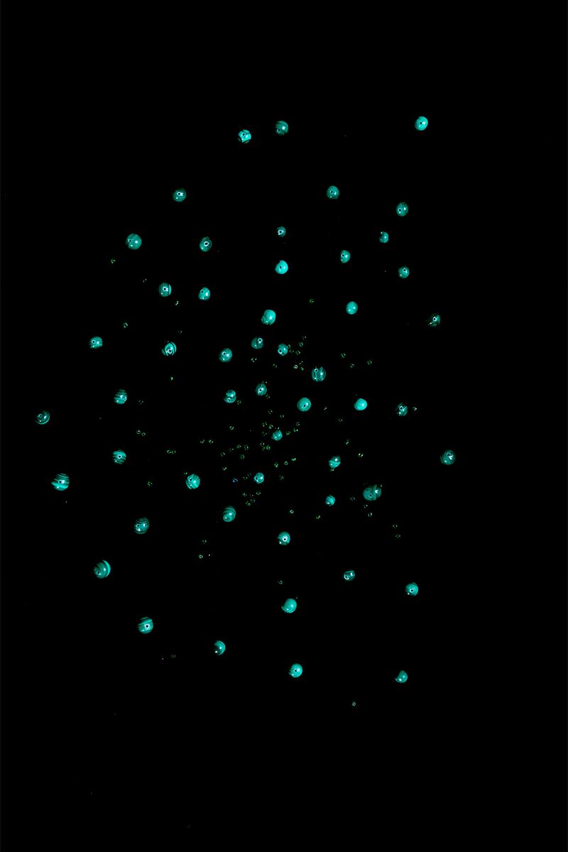 The Hidden Treasure of an Everlasting Bond