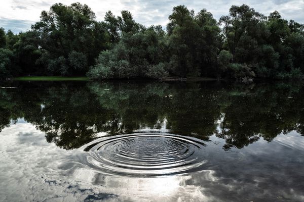 The Hidden Treasure of an Everlasting Bond