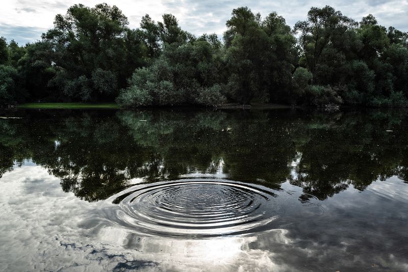 The Hidden Treasure of an Everlasting Bond