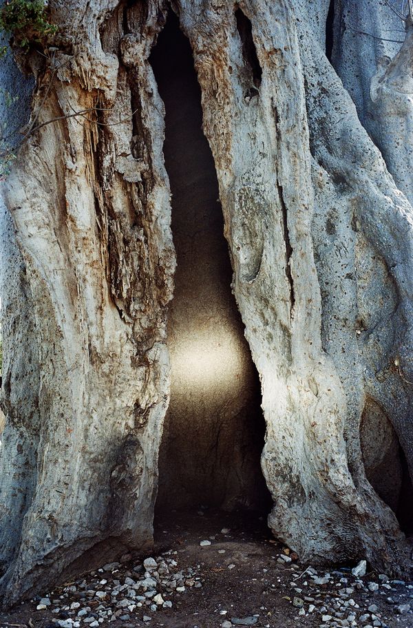 A Subconscious Portrayal of the African Diaspora