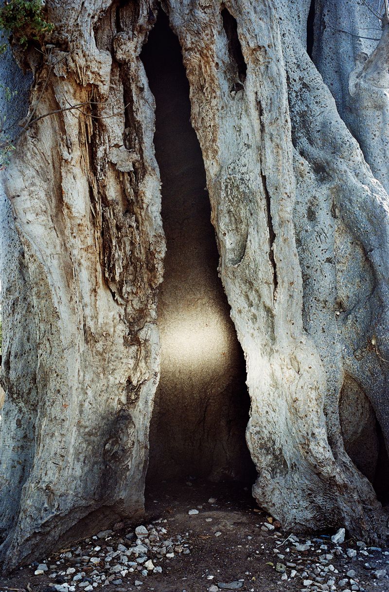 A Subconscious Portrayal of the African Diaspora