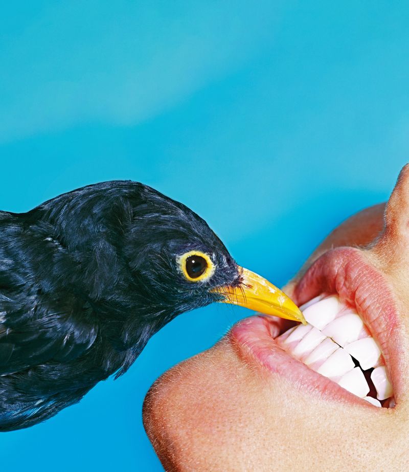 © Maurizio Cattelan e Pierpaolo Ferrari