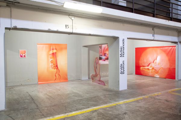 A detail of Arvida Bystrom's Mythic Humanoids exhibition at PhMuseum Days 2022 Open Call © PhMuseum