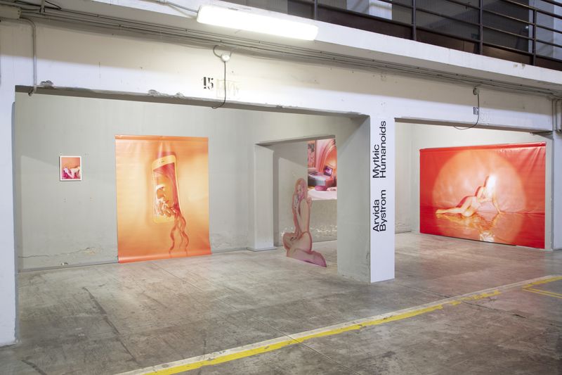 A detail of Arvida Bystrom's Mythic Humanoids exhibition at PhMuseum Days 2022 Open Call © PhMuseum
