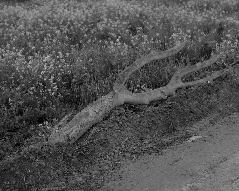 In This Series, Aakriti Chandervanshi Documents the Past and Present of the Southern Valley of Kathmandu