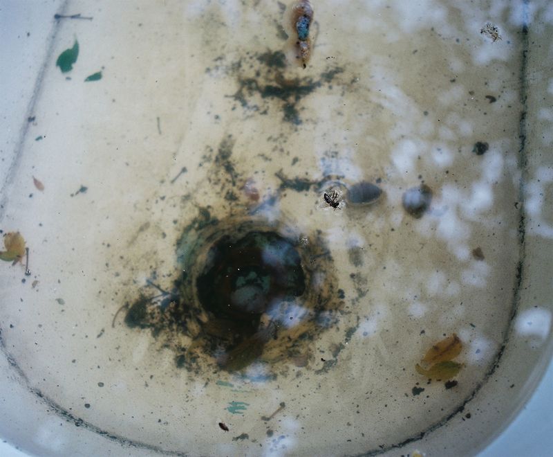 Marija Mandic Criticises Patriarchy by Reflecting on the Absence of Women’s Names in Her Family Tree