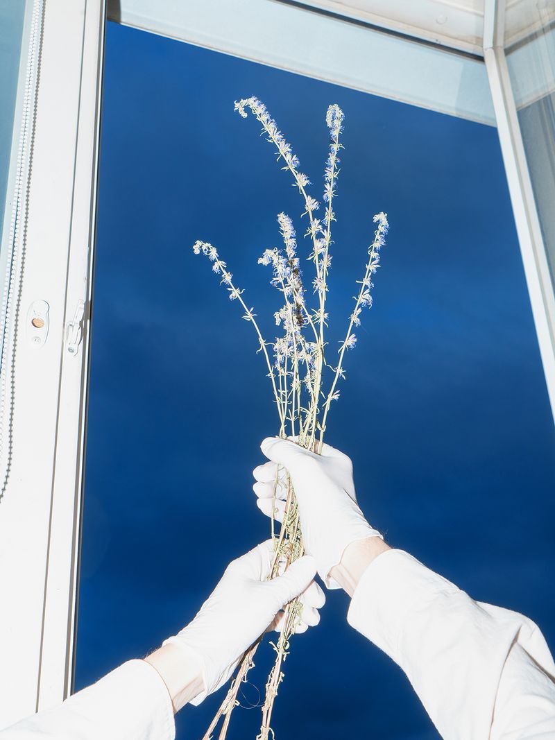 Healing the Ambiguity of a Rigid Philosophy