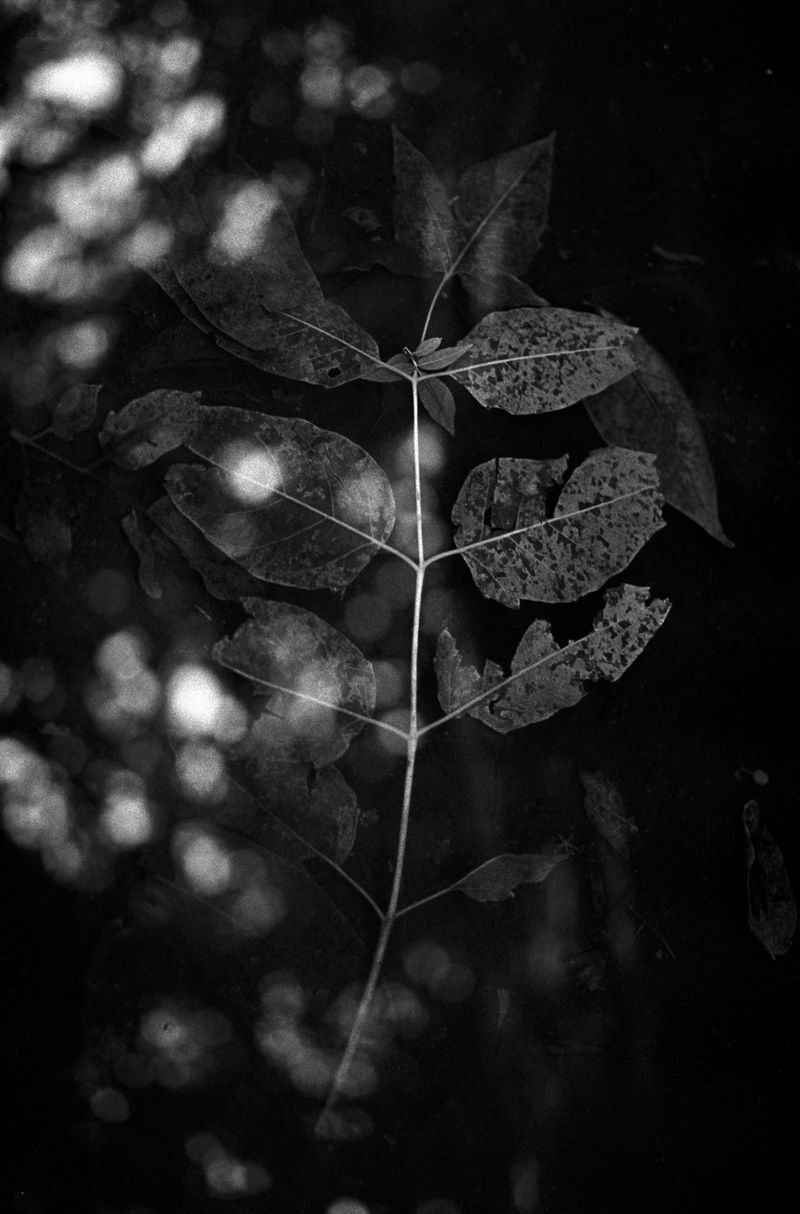 Visualising the Dark Nature of Time