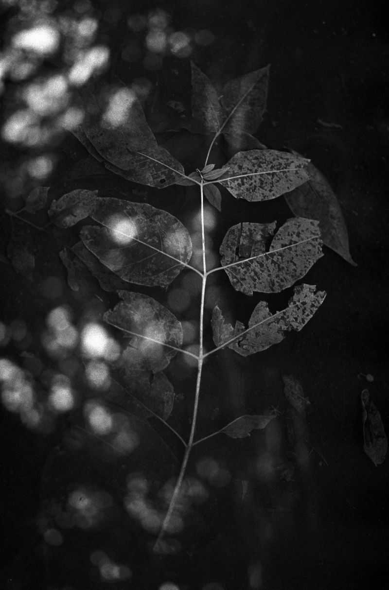 Visualising the Dark Nature of Time