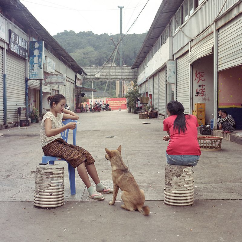 The Harsh Effects of Capitalist Expansion in Laos