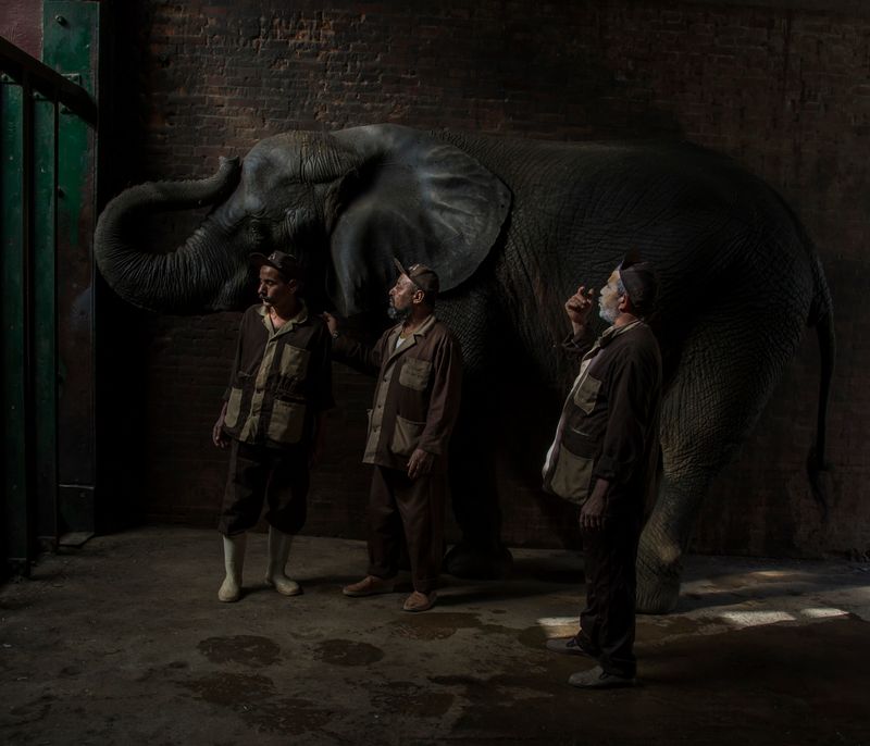 © Roger Anis, from the series, Relationships in Captivity