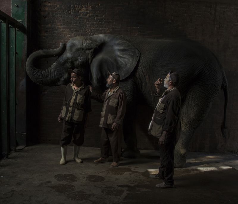 © Roger Anis, from the series, Relationships in Captivity