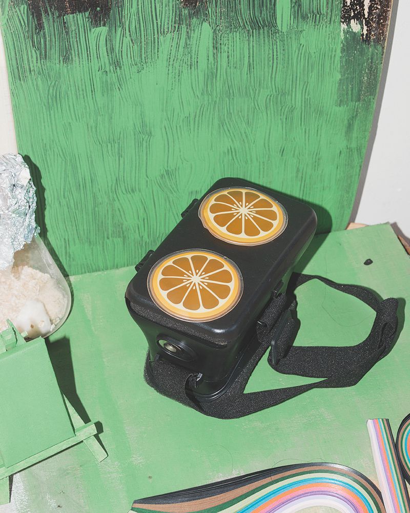 Invented Situations, Scientific Discoveries, and Scenes of Artificial Life