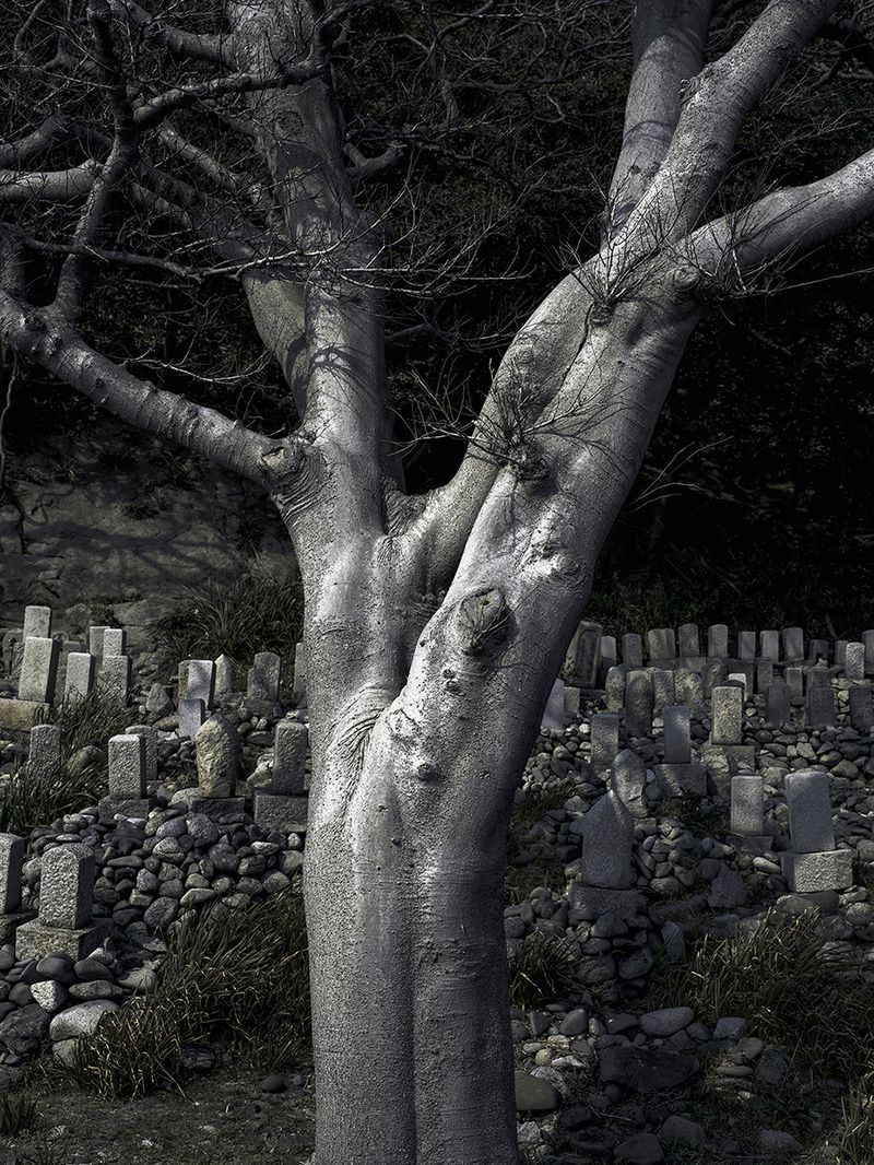 A Spiritual Journey of Self-Reflection Across Japan