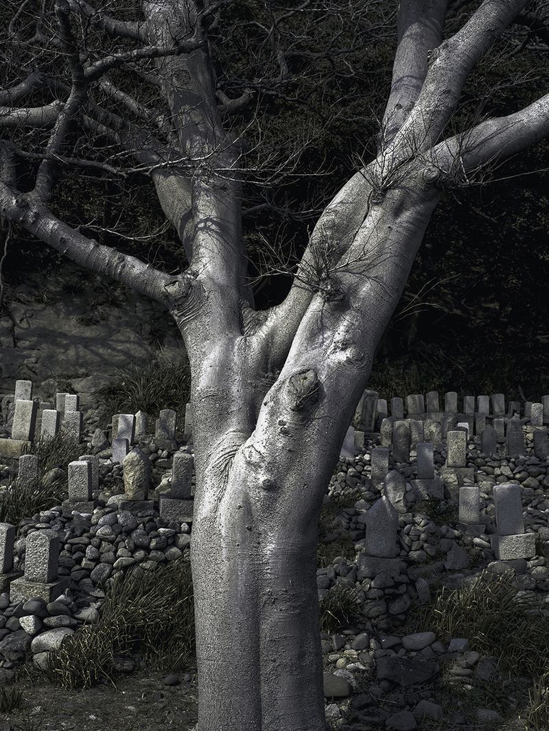 A Spiritual Journey of Self-Reflection Across Japan