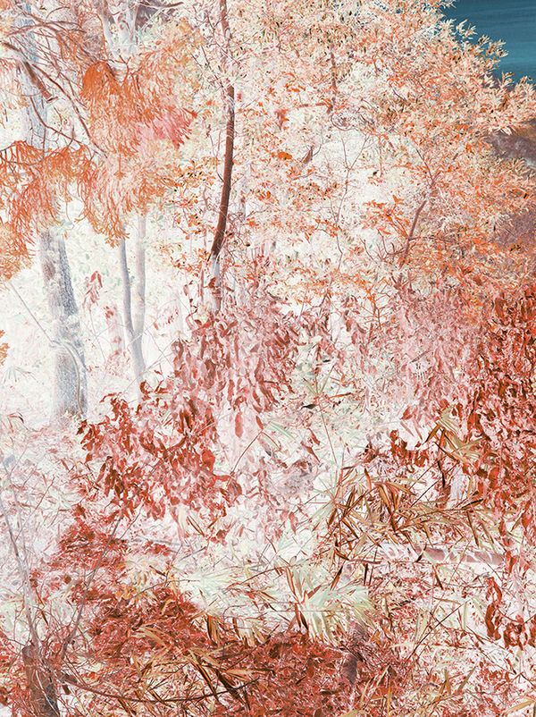 A Spiritual Journey of Self-Reflection Across Japan