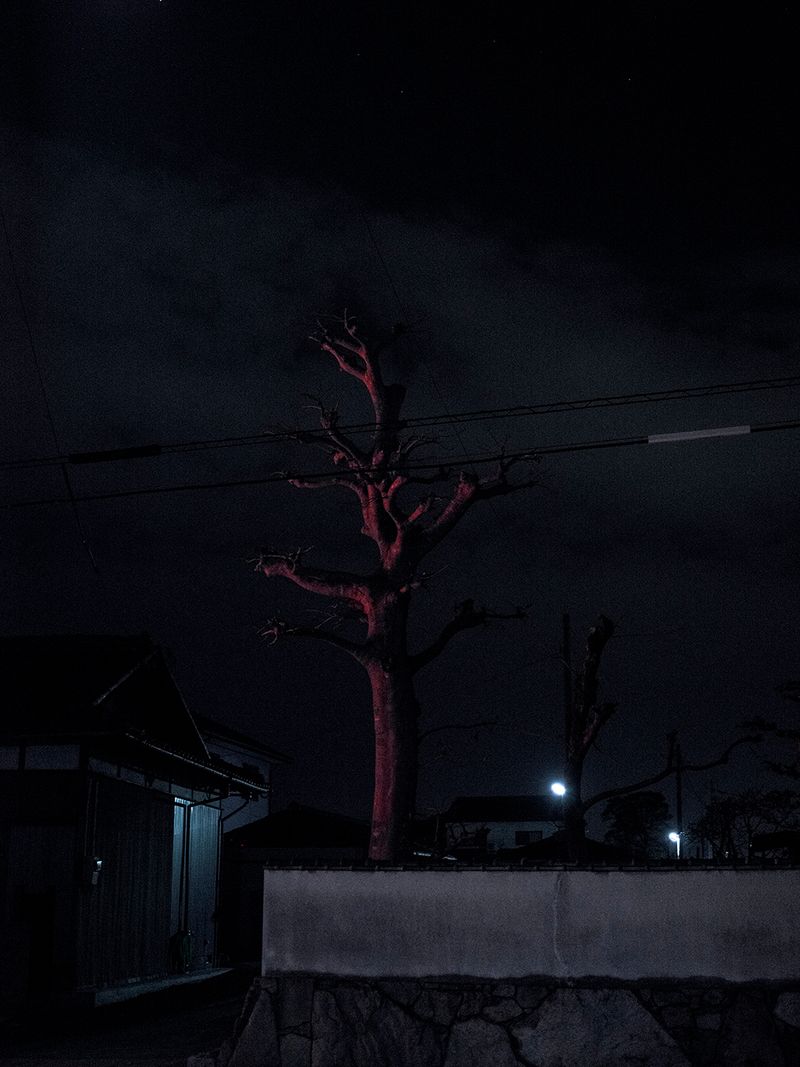 A Spiritual Journey of Self-Reflection Across Japan