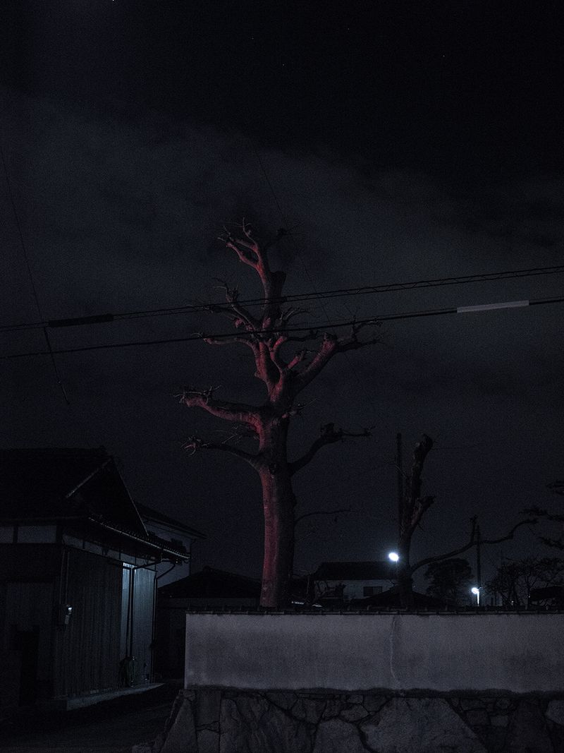 A Spiritual Journey of Self-Reflection Across Japan