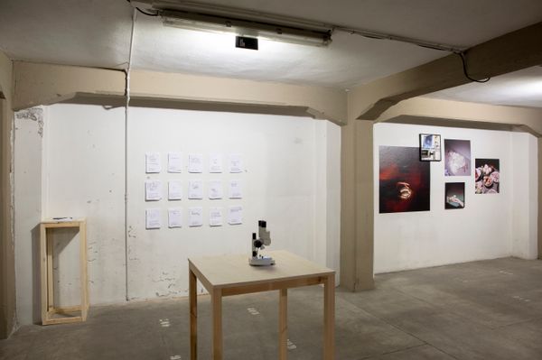 Fabiola Cedillo on Presenting Her Work at PhMuseum Days 2021