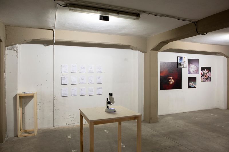 Fabiola Cedillo on Presenting Her Work at PhMuseum Days 2021