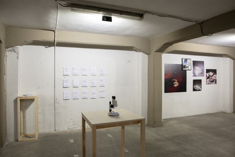Fabiola Cedillo on Presenting Her Work at PhMuseum Days 2021