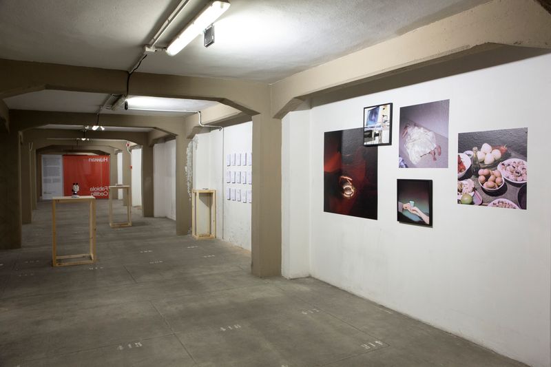 Fabiola Cedillo on Presenting Her Work at PhMuseum Days 2021