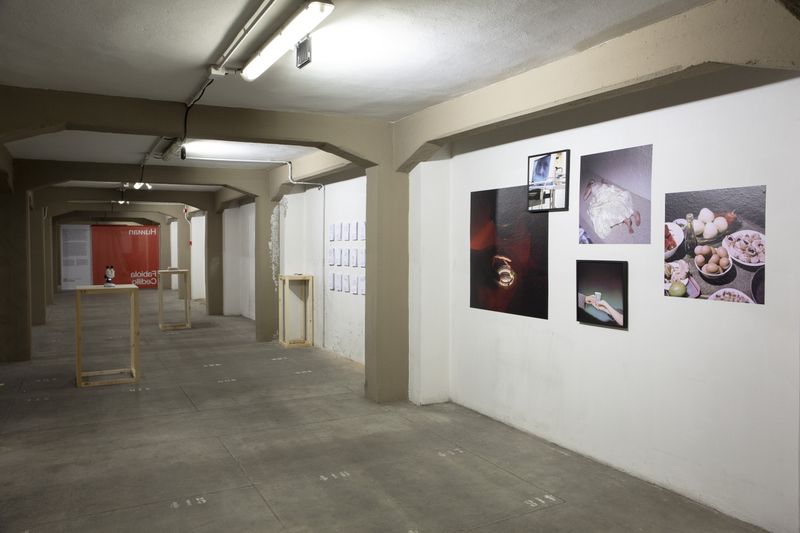 Fabiola Cedillo on Presenting Her Work at PhMuseum Days 2021