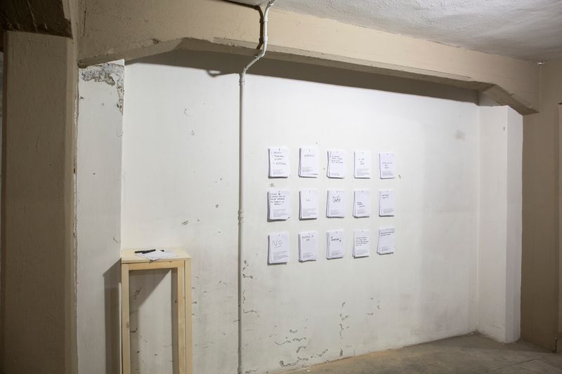 Fabiola Cedillo on Presenting Her Work at PhMuseum Days 2021