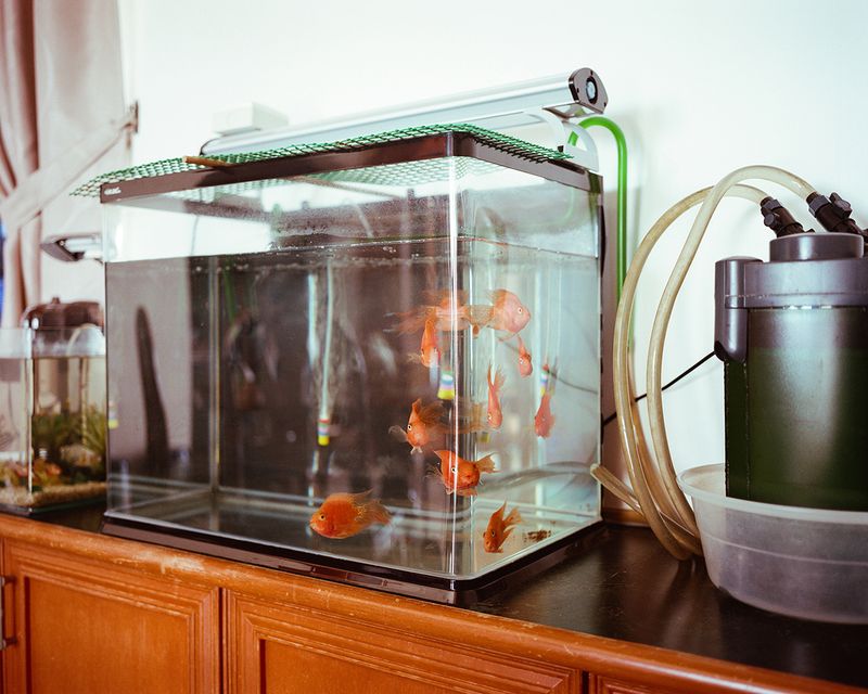 The Long Goodbye: Grandmother's Portrait During Her Final Years