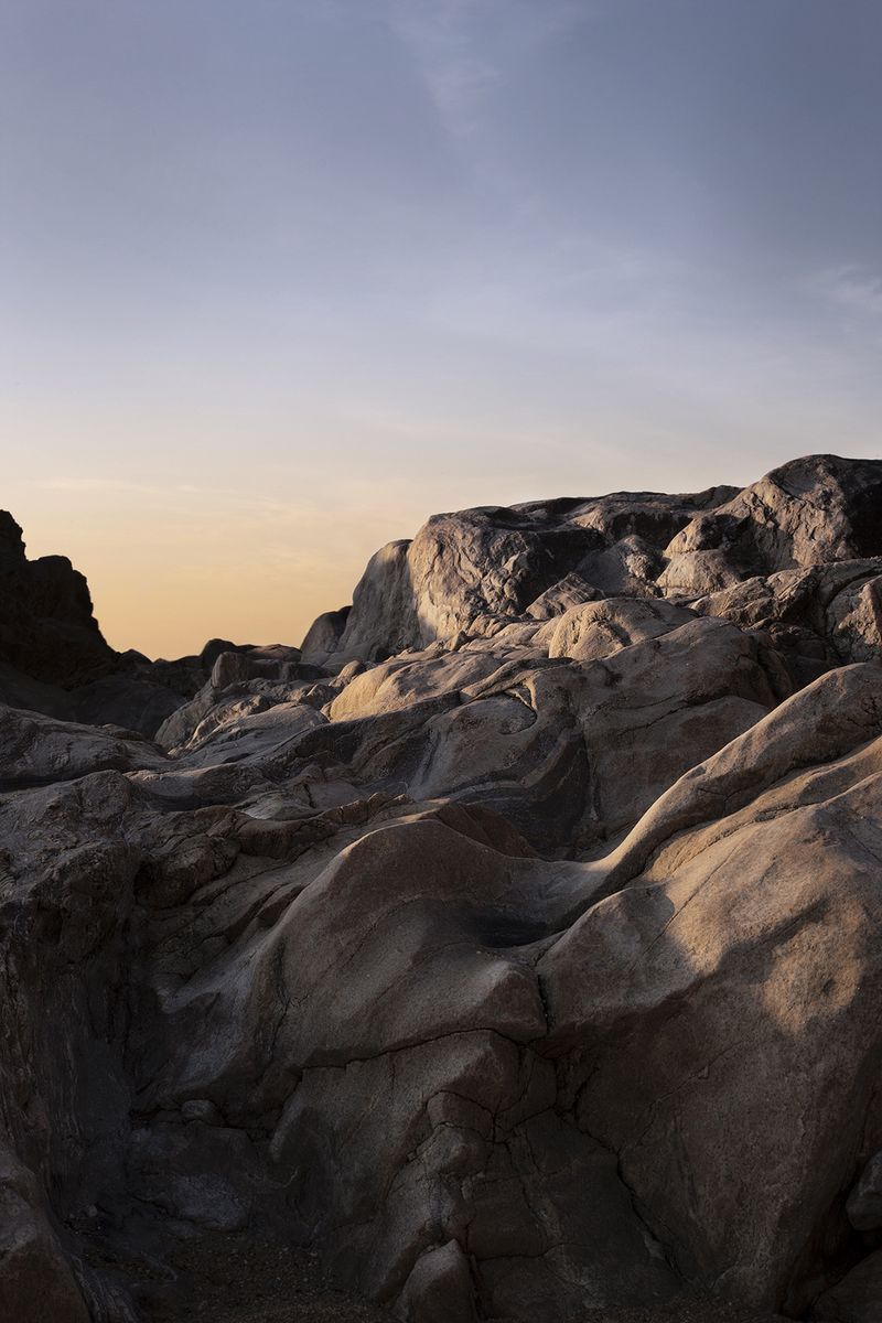 Joana Dionisio Departs From a Personal Grief to Reflect on How We Deal With the End of Life