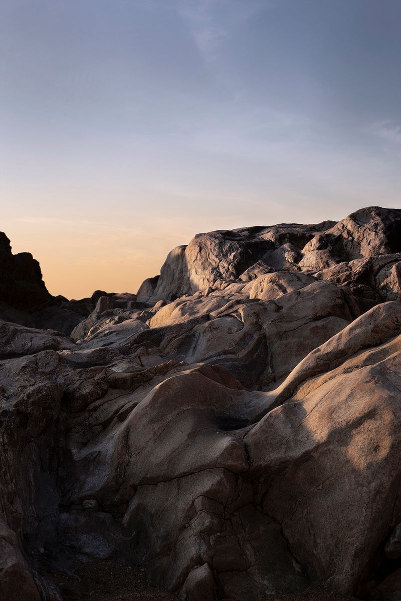 Joana Dionisio Departs From a Personal Grief to Reflect on How We Deal With the End of Life