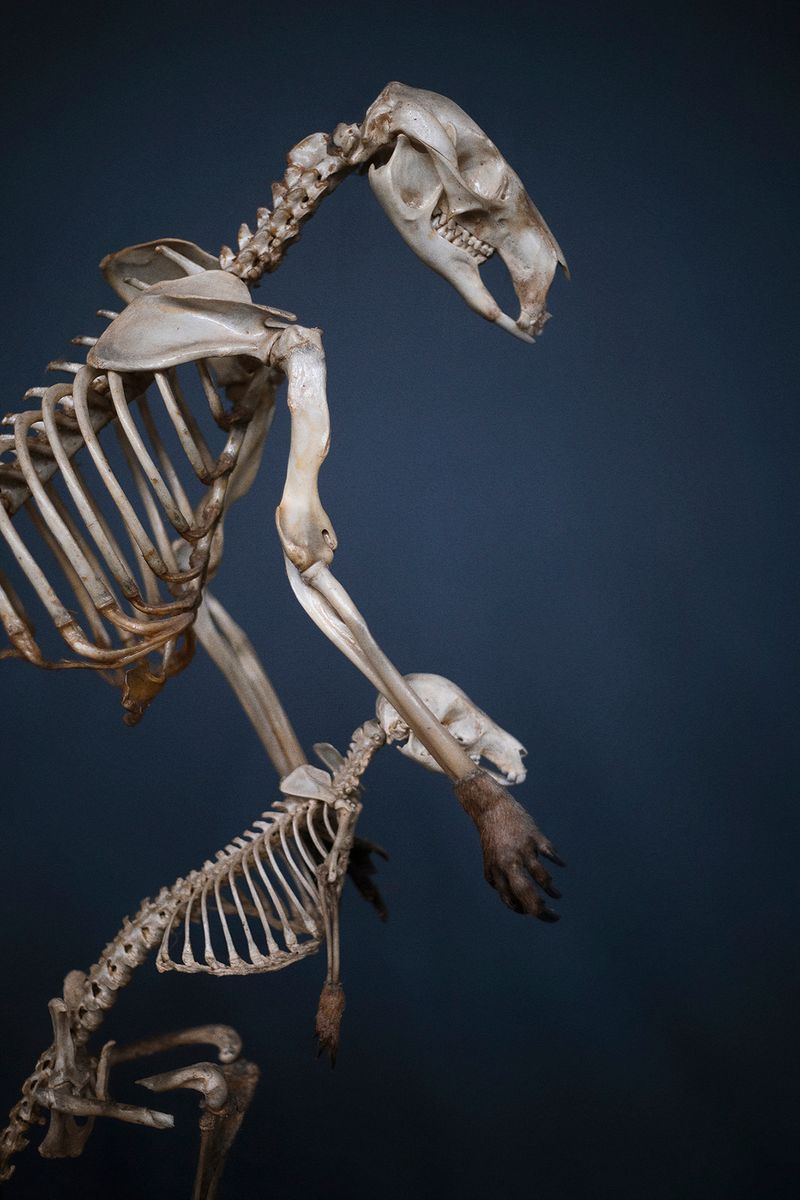 Joana Dionisio Departs From a Personal Grief to Reflect on How We Deal With the End of Life