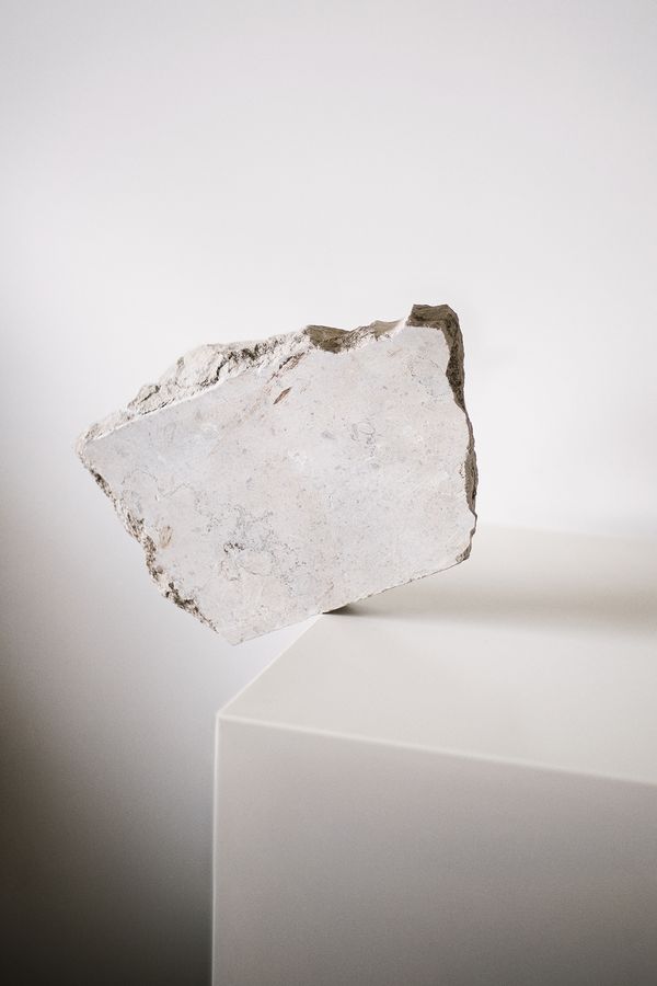 Joana Dionisio Departs From a Personal Grief to Reflect on How We Deal With the End of Life