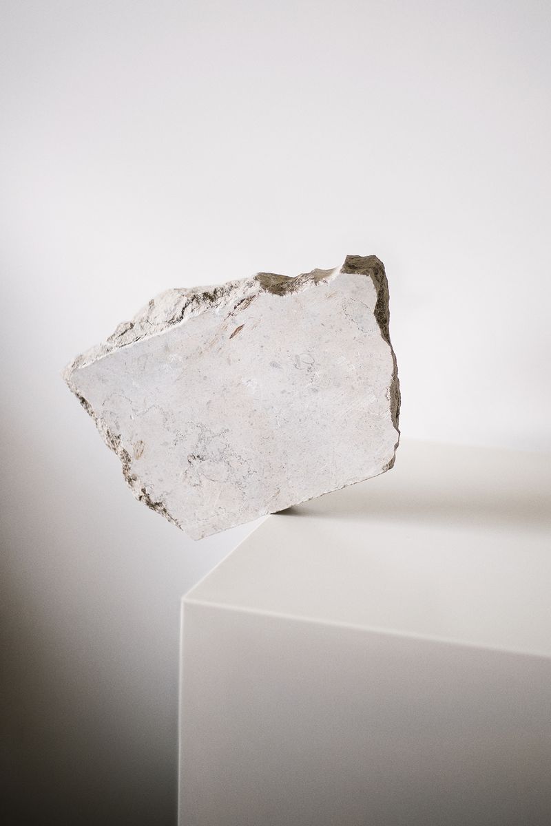 Joana Dionisio Departs From a Personal Grief to Reflect on How We Deal With the End of Life