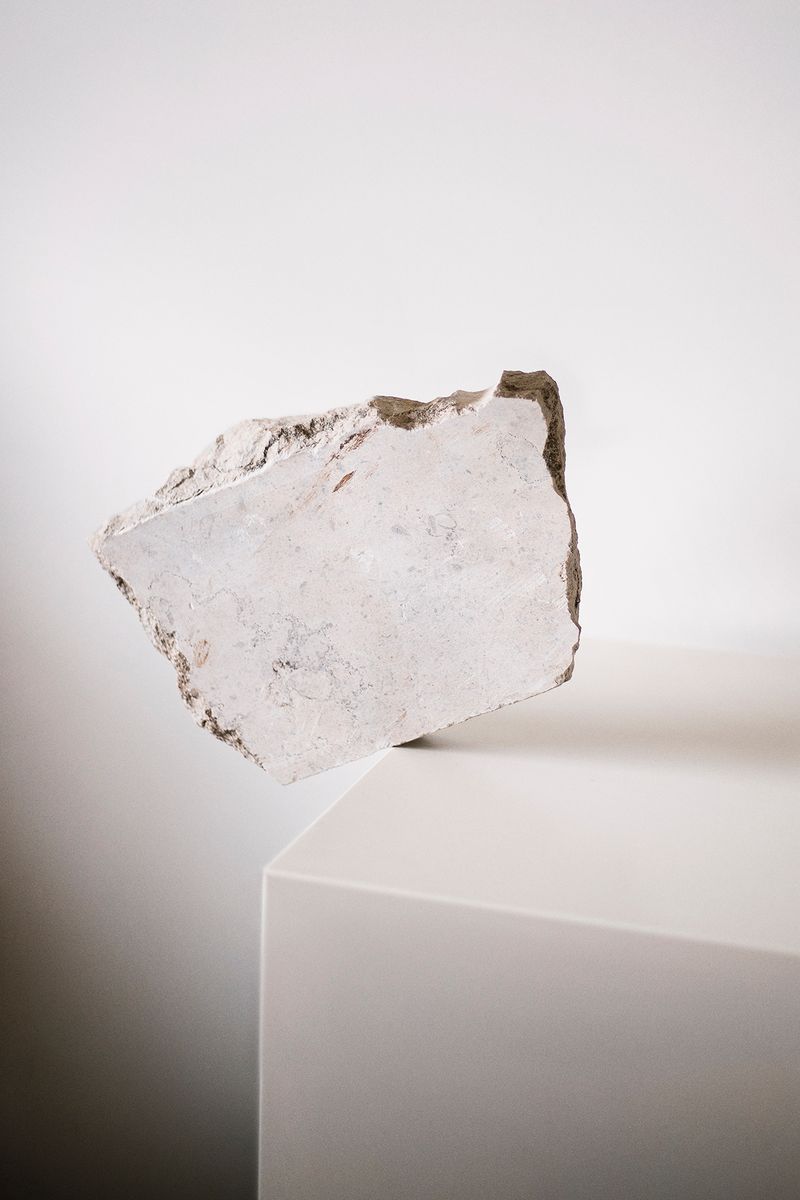 Joana Dionisio Departs From a Personal Grief to Reflect on How We Deal With the End of Life