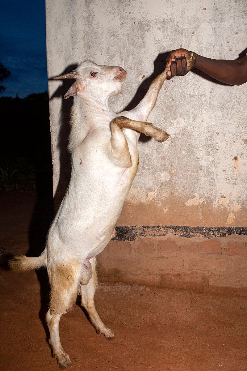 The Double Spiritual Nature of Lake Kariba