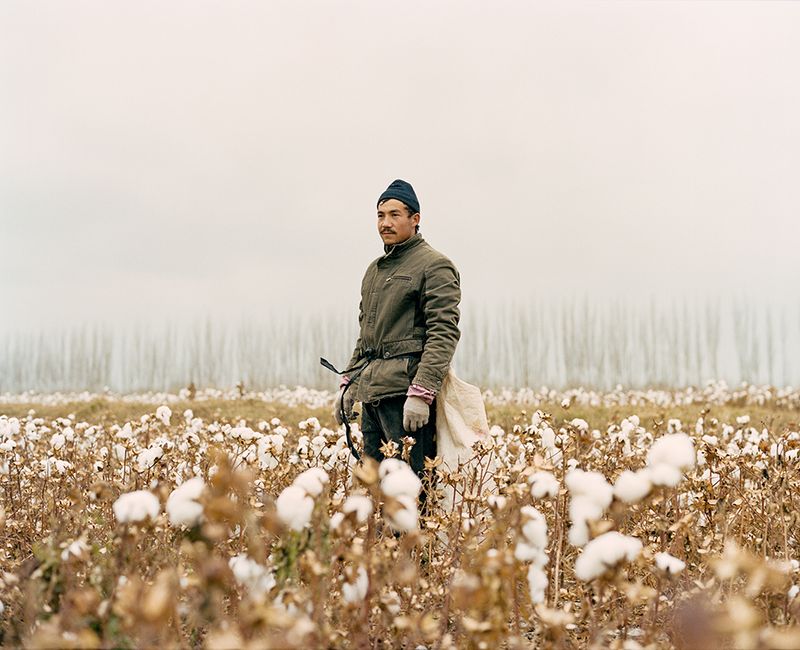 Defining Notions of the Chinese West