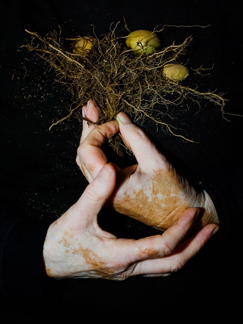 By Photographing Potatoes, Ana Nuñez Rodriguez Uses This Common Ingredient to Question Society and History