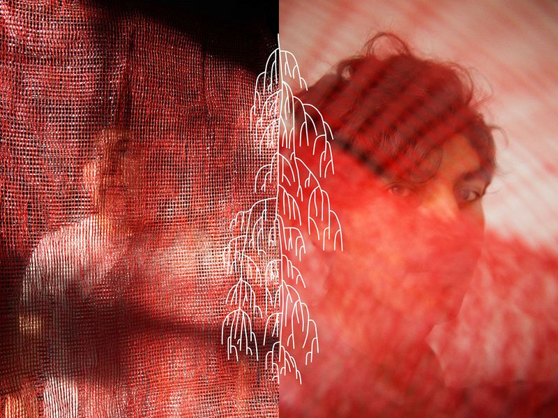 By Photographing Potatoes, Ana Nuñez Rodriguez Uses This Common Ingredient to Question Society and History