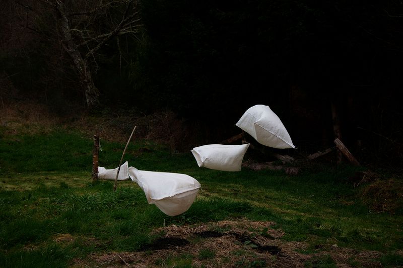 By Photographing Potatoes, Ana Nuñez Rodriguez Uses This Common Ingredient to Question Society and History