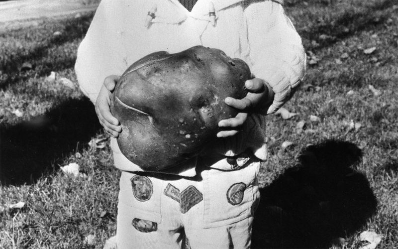 By Photographing Potatoes, Ana Nuñez Rodriguez Uses This Common Ingredient to Question Society and History