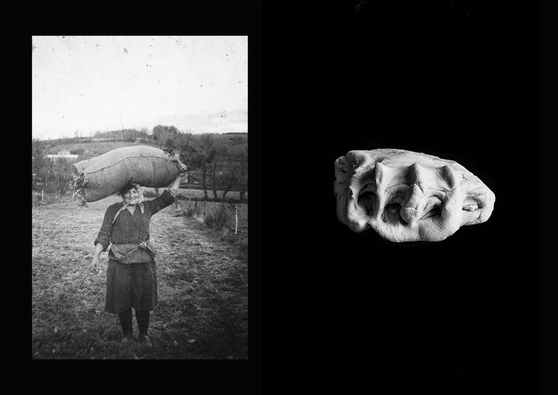 By Photographing Potatoes, Ana Nuñez Rodriguez Uses This Common Ingredient to Question Society and History