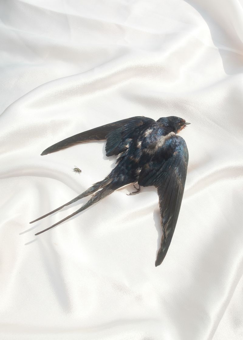 János Szabó Collects Stories of People Living Along a Hungarian River Full of Childhood Memories