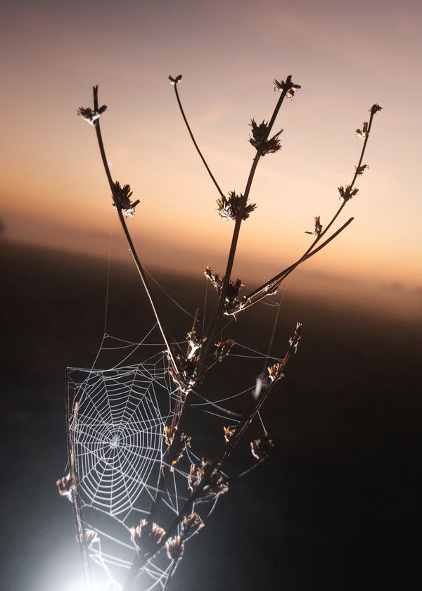 János Szabó Collects Stories of People Living Along a Hungarian River Full of Childhood Memories