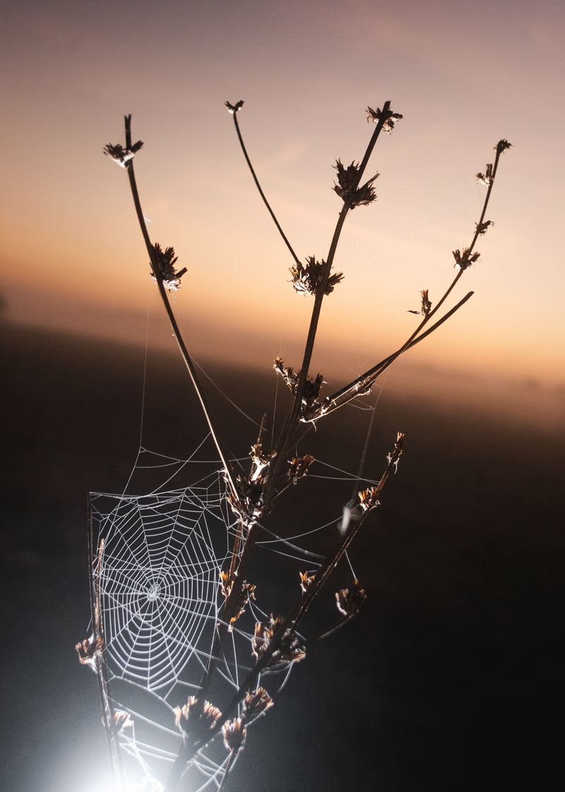 János Szabó Collects Stories of People Living Along a Hungarian River Full of Childhood Memories