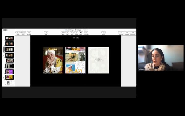 Screenshot from a Seminar by Elisa Medde, CRITICAE 2024/25