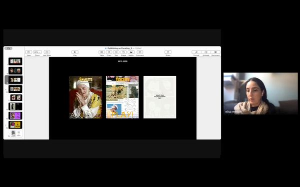 Screenshot from a Seminar by Elisa Medde, CRITICAE 2024/25
