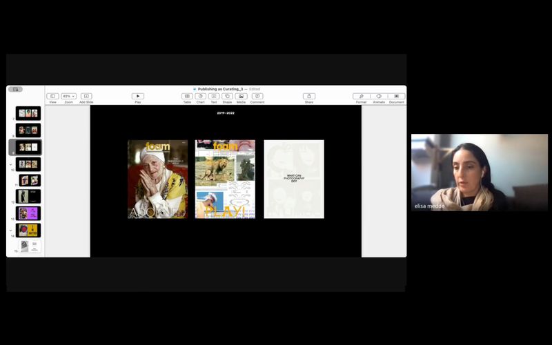 Screenshot from a Seminar by Elisa Medde, CRITICAE 2024/25