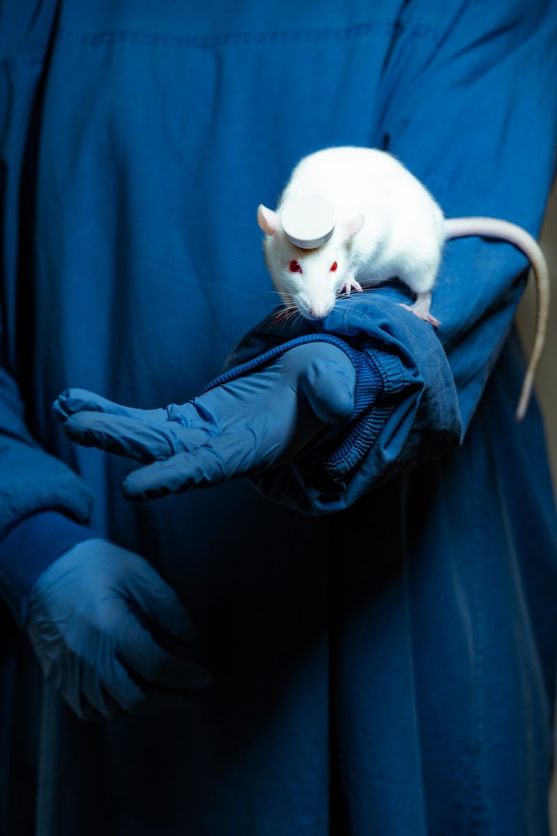 Photographer Aristidis Schnelzer Explores the Advancements of Medical Technologies